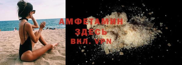 прущие грибы Магадан