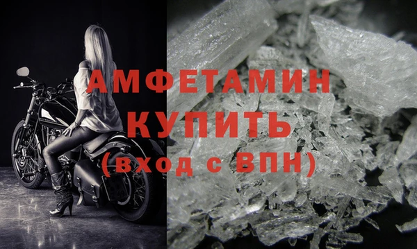 прущие грибы Магадан
