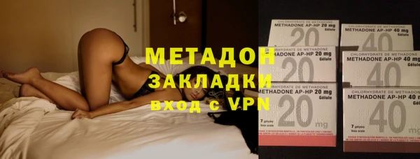 прущие грибы Магадан