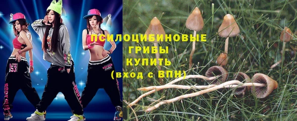 мет Магас