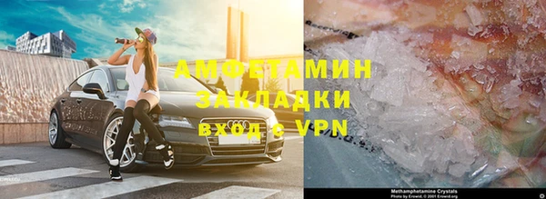прущие грибы Магадан