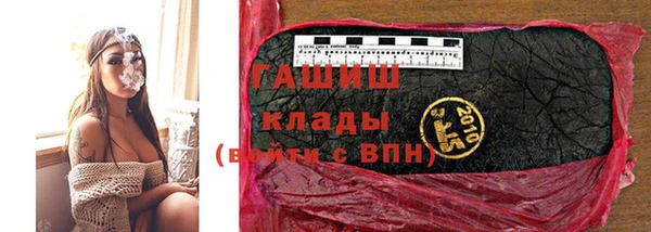 прущие грибы Магадан