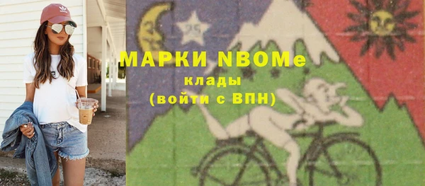 прущие грибы Магадан