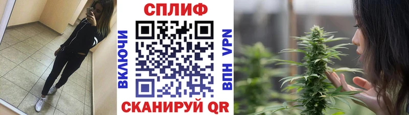Бошки Шишки план  Купить где  Киренск 